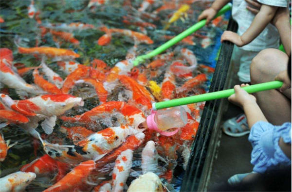 多年不衰！这个暴利项目月利润轻松破3W+