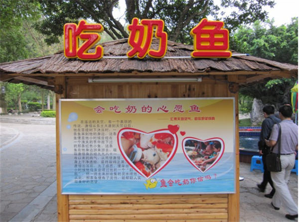 多年不衰!这个暴利项目月利润轻松破3W+