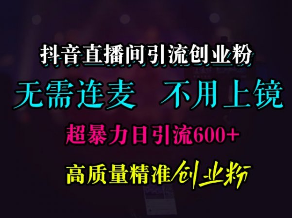 抖音直播间引流创业粉,无需连麦、无需上镜,超暴力日引流600+高质量精准创业粉