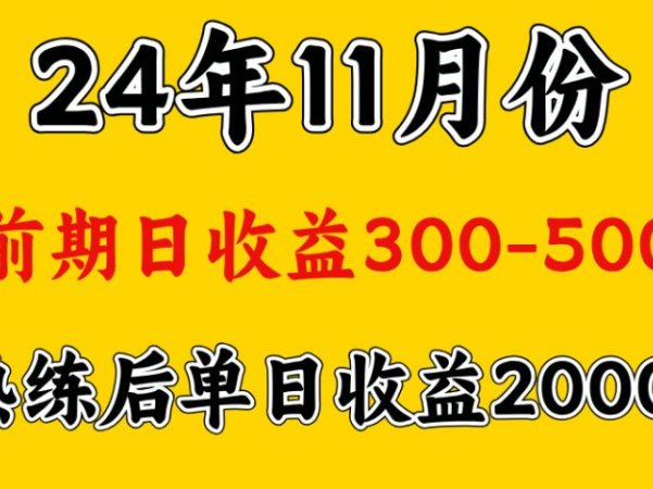轻资产项目,前期日收益500左右,后期日收益1500-2000左右,多劳多得