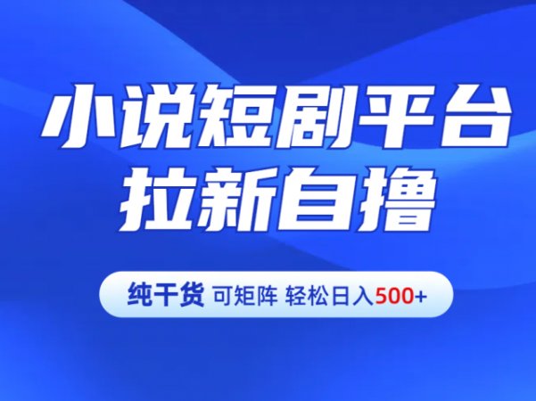 【纯干货】小说短剧平台拉新自撸玩法详解-单人轻松日入500+