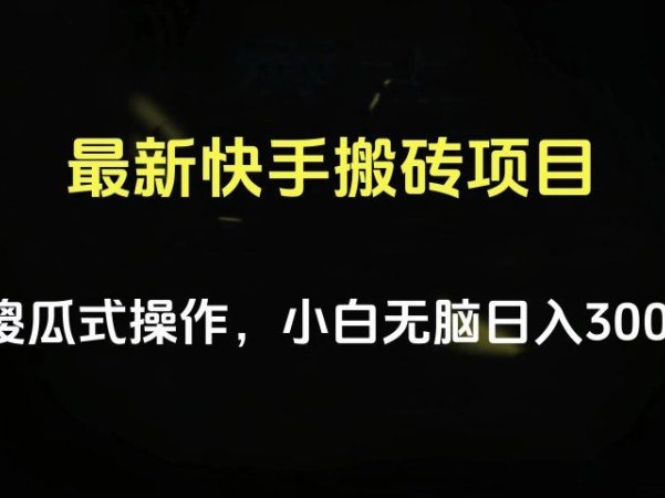 最新快手搬砖挂机项目,傻瓜式操作,小白无脑日入300-500+
