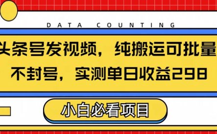 头条发视频，纯搬运可批量，不封号玩法实测单日收益单号298