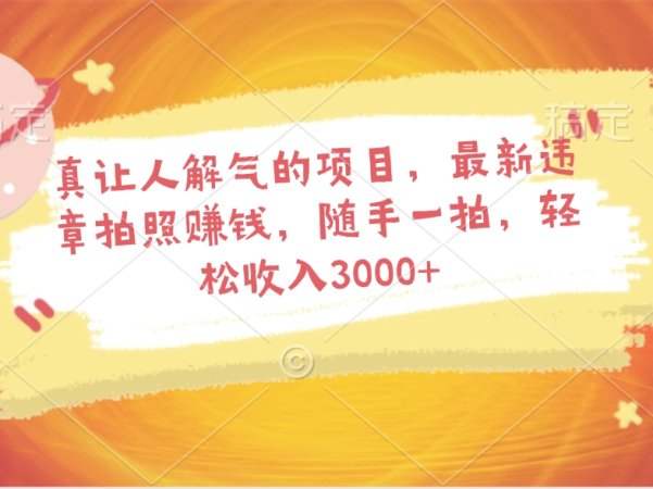 真让人解气的项目，最新违章拍照赚钱，随手一拍，轻松收入3000+