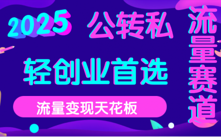 2025年流量天花板，公域转私域，当天可变现