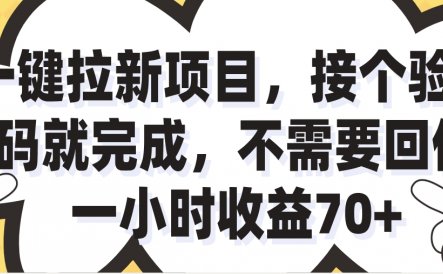 一小时收益70+的一键拉新项目，接个码就完成，不需要回传