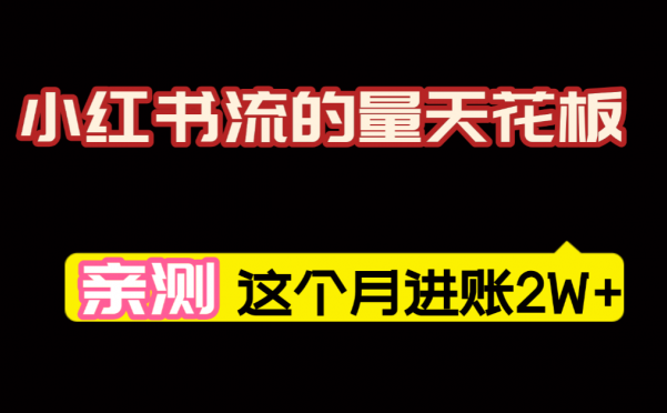 【亲测】小红书的这个赛道，简直就是流量天花板，我这个月已经赚2W+（附带教程）